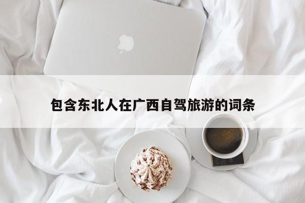 包含东北人在广西自驾旅游的词条