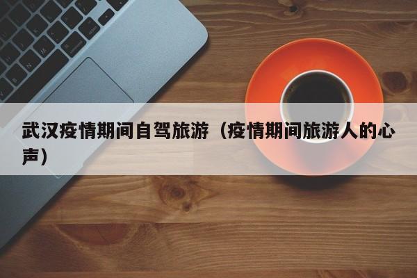 武汉疫情期间自驾旅游（疫情期间旅游人的心声）