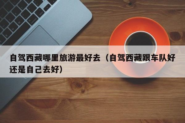 自驾西藏哪里旅游最好去（自驾西藏跟车队好还是自己去好）