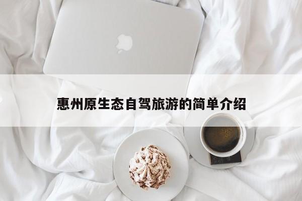 惠州原生态自驾旅游的简单介绍