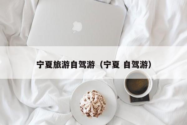 宁夏旅游自驾游（宁夏 自驾游）