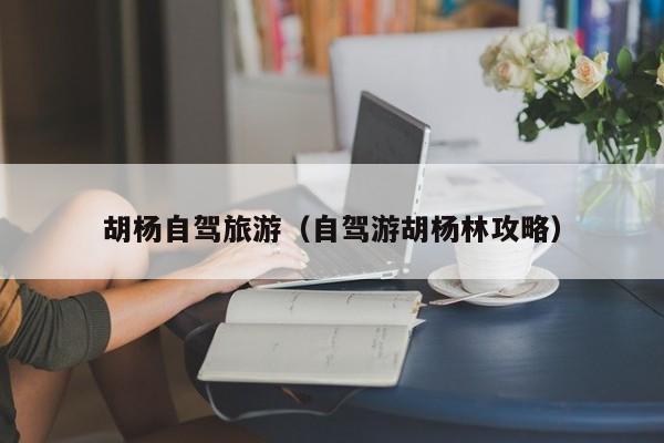 胡杨自驾旅游（自驾游胡杨林攻略）