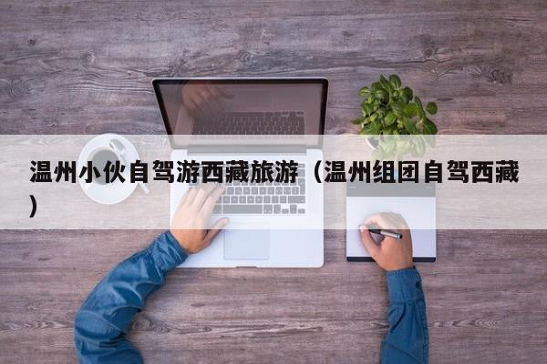 温州小伙自驾游西藏旅游（温州组团自驾西藏）