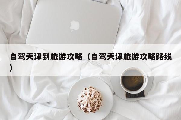 自驾天津到旅游攻略（自驾天津旅游攻略路线）