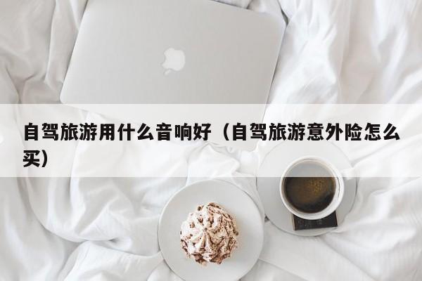 自驾旅游用什么音响好（自驾旅游意外险怎么买）