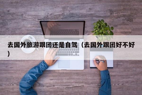 去国外旅游跟团还是自驾（去国外跟团好不好）