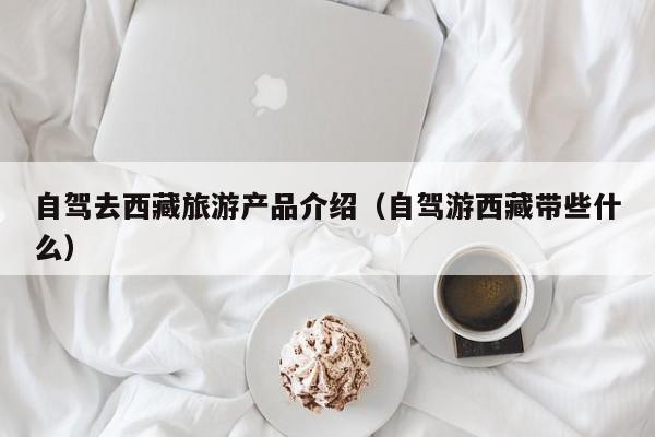 自驾去西藏旅游产品介绍（自驾游西藏带些什么）