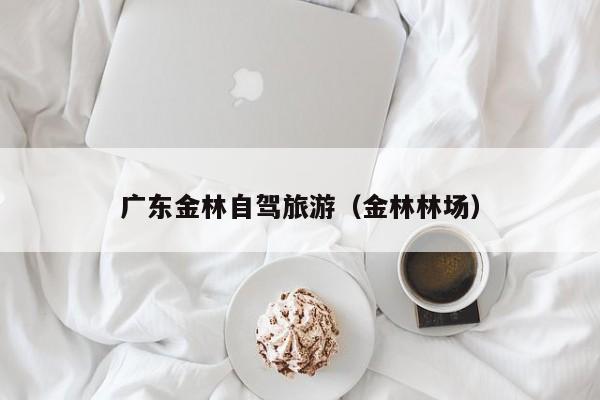 广东金林自驾旅游（金林林场）