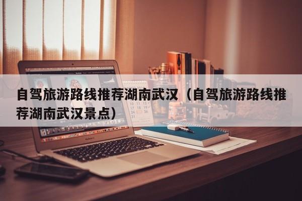 自驾旅游路线推荐湖南武汉（自驾旅游路线推荐湖南武汉景点）