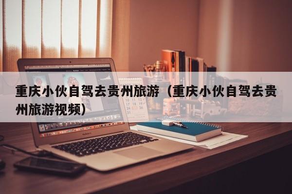 重庆小伙自驾去贵州旅游（重庆小伙自驾去贵州旅游视频）