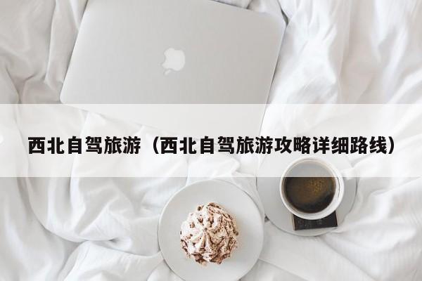 西北自驾旅游（西北自驾旅游攻略详细路线）