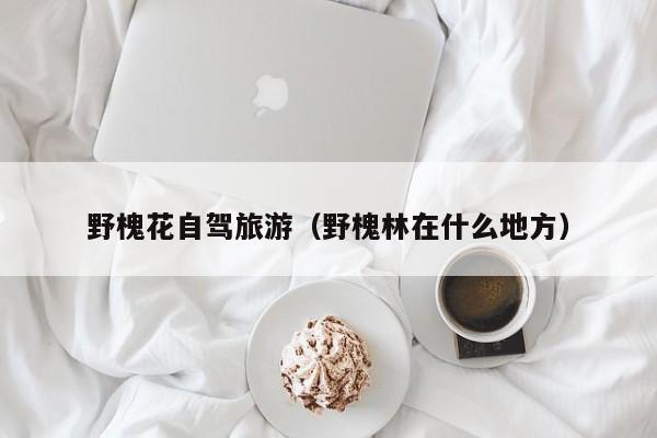 野槐花自驾旅游（野槐林在什么地方）