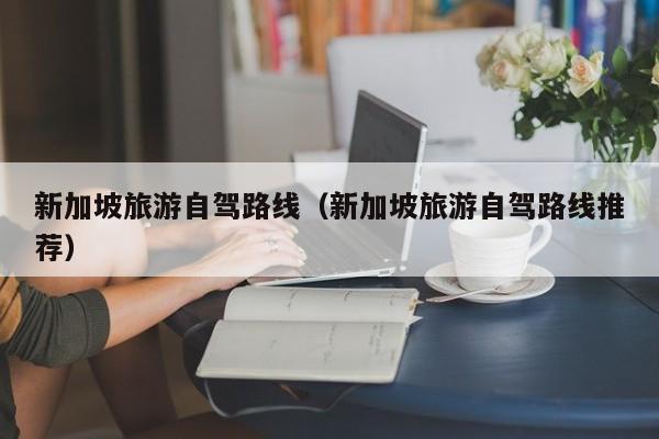 新加坡旅游自驾路线（新加坡旅游自驾路线推荐）